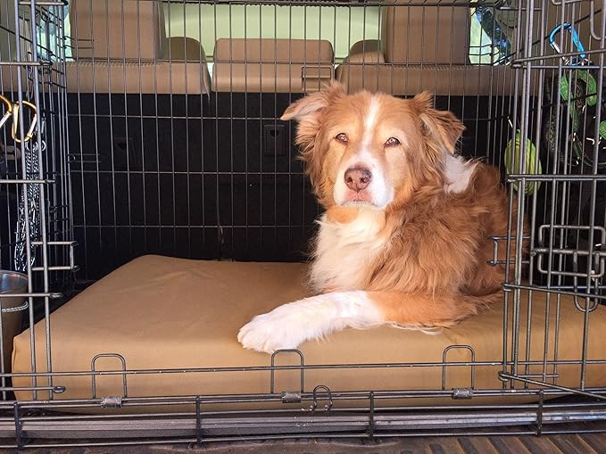 Dog Crate bed